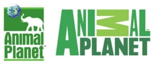 animal planet logo