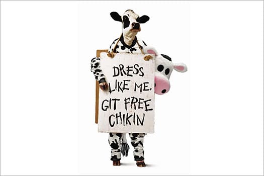 Chick Fil A Cow Appreciation Day